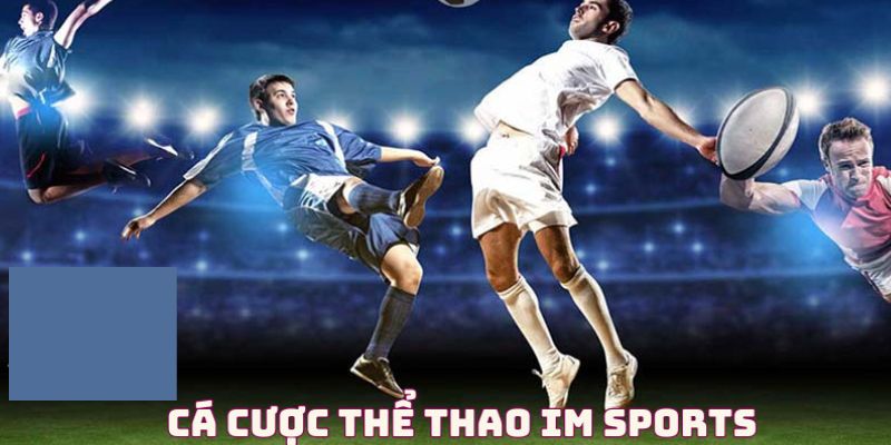 Hướng dẫn chơi tại sảnh IM Sport của 69VN